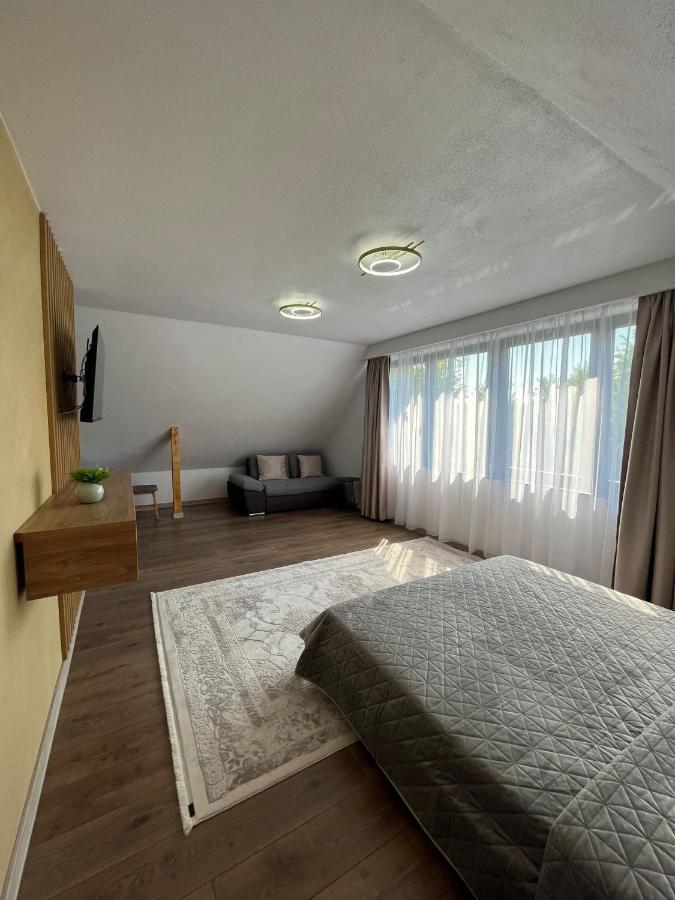 ホテル Casa Boila Bîrsana エクステリア 写真
